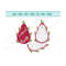 MR-1210202317545-dragon-fruit-svg-fruits-svg-pitaya-fruit-svg-cactus-fruit-image-1.jpg