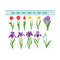 MR-12102023175430-tulip-svg-narcissus-svg-iris-svg-crocus-svg-flower-svg-image-1.jpg
