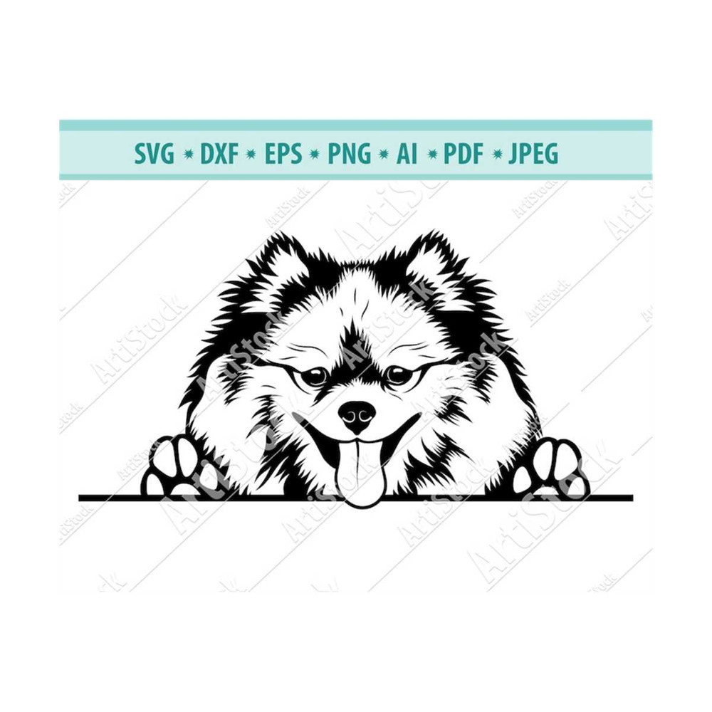 MR-12102023175456-peeking-spitz-svg-paws-dog-svg-pet-logo-purebred-svg-image-1.jpg