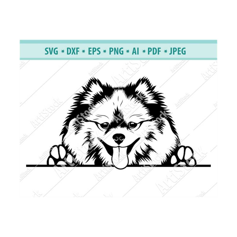MR-12102023175456-peeking-spitz-svg-paws-dog-svg-pet-logo-purebred-svg-image-1.jpg