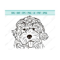 goldendoodle svg - dog silhouettes - dogs svg - digital cutting file - vector cut - cricut cut - instant download - svg,