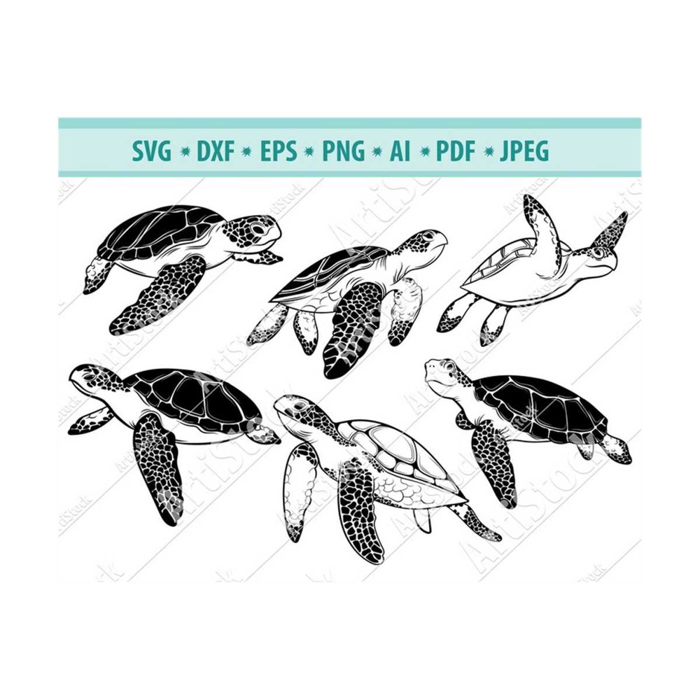 MR-1210202318119-turtle-svg-sea-turtle-svg-tortoise-svg-aquatic-svg-reptile-image-1.jpg