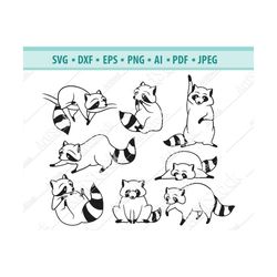 raccoon svg file, forest animal svg, striped raccoon svg, thief svg, cute raccoon svg, funny animal svg, raccoon clipart