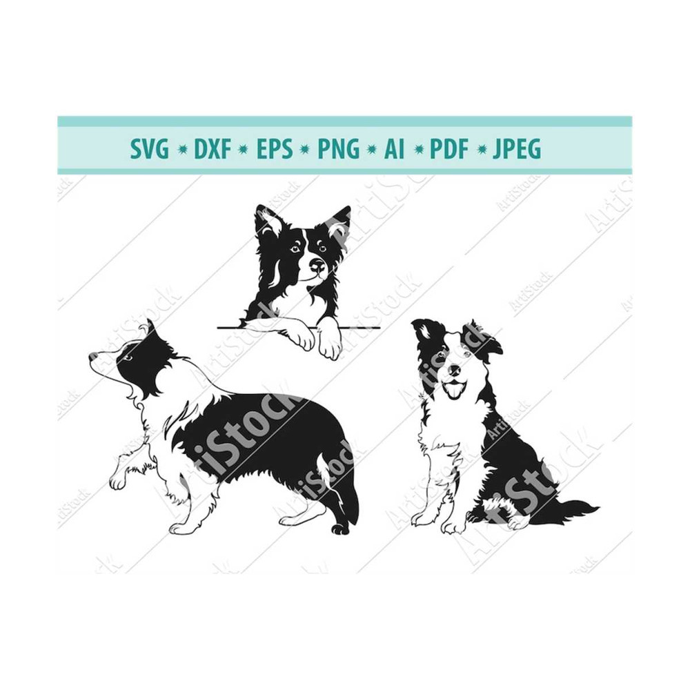 MR-1210202318325-border-collie-svg-border-collie-silhouette-dog-breed-svg-image-1.jpg