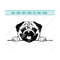 MR-121020231897-peeking-pug-svg-paws-dog-svg-pug-logo-svg-purebred-dog-svg-image-1.jpg