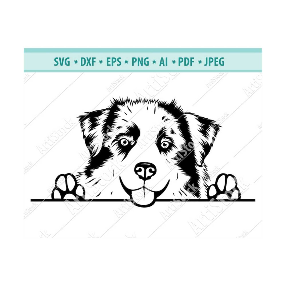 MR-12102023181330-peeking-border-collie-svg-australian-shepherd-svg-dog-breed-image-1.jpg
