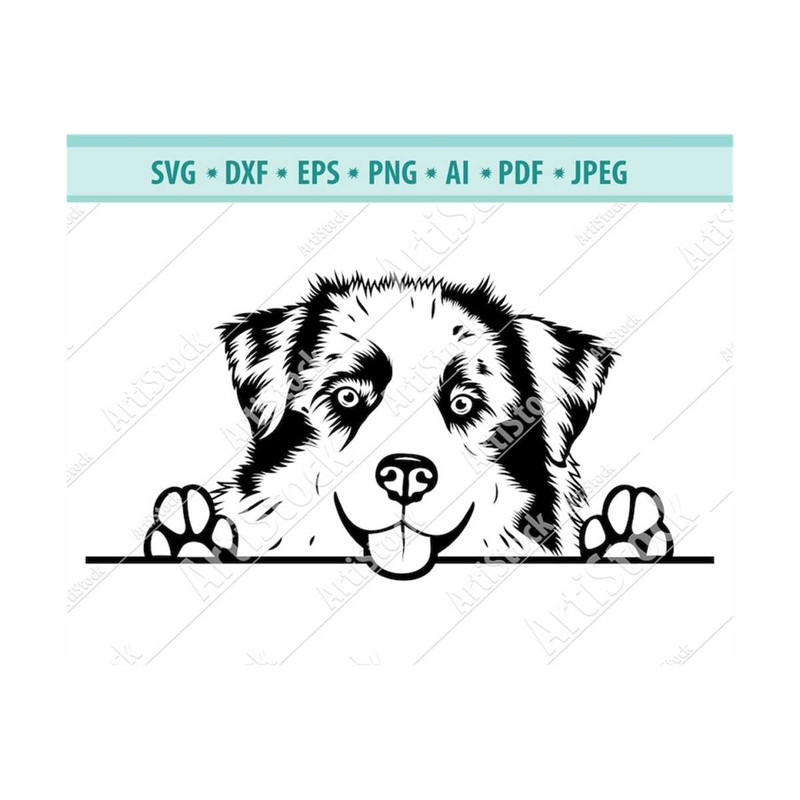 MR-12102023181330-peeking-border-collie-svg-australian-shepherd-svg-dog-breed-image-1.jpg