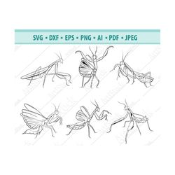 praying mantis svg, insect svg, green mantis svg, grasshopper svg, green mantis clipart, green bugs svg, insect cut file