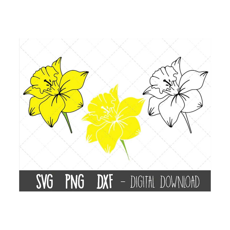 MR-12102023182719-daffodil-svg-spring-flower-svg-bundle-flower-svg-spring-image-1.jpg