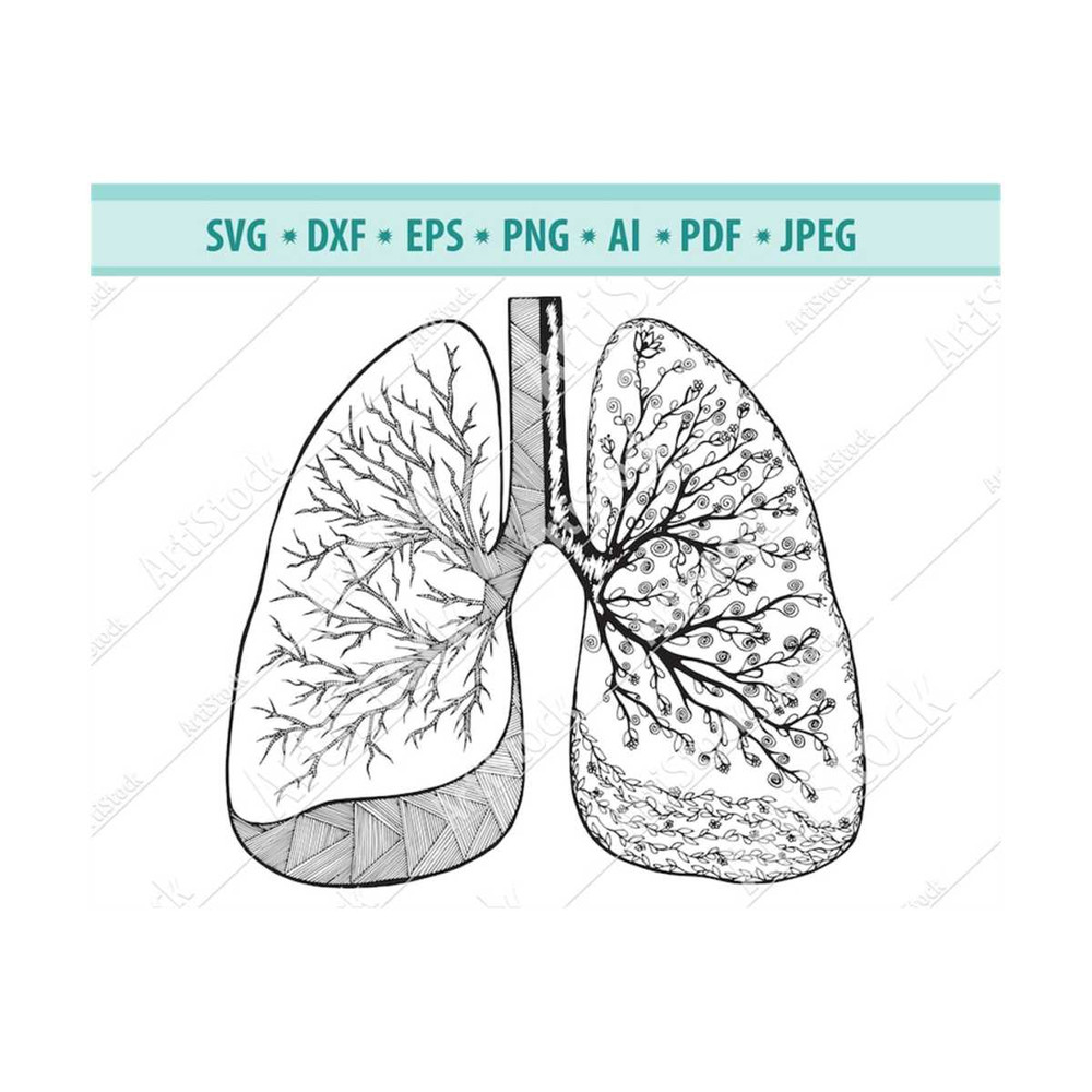 MR-12102023183715-human-lung-svg-lungs-svg-flowery-human-lung-silhouette-image-1.jpg