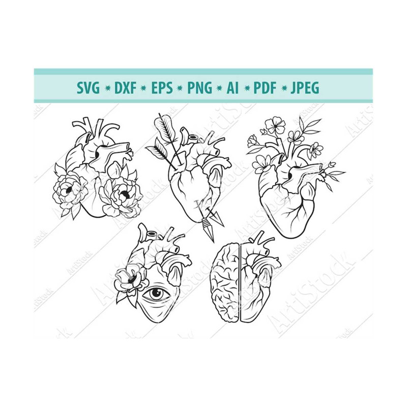 MR-1210202318404-heart-svg-file-anatomical-heart-svg-human-heart-svg-image-1.jpg