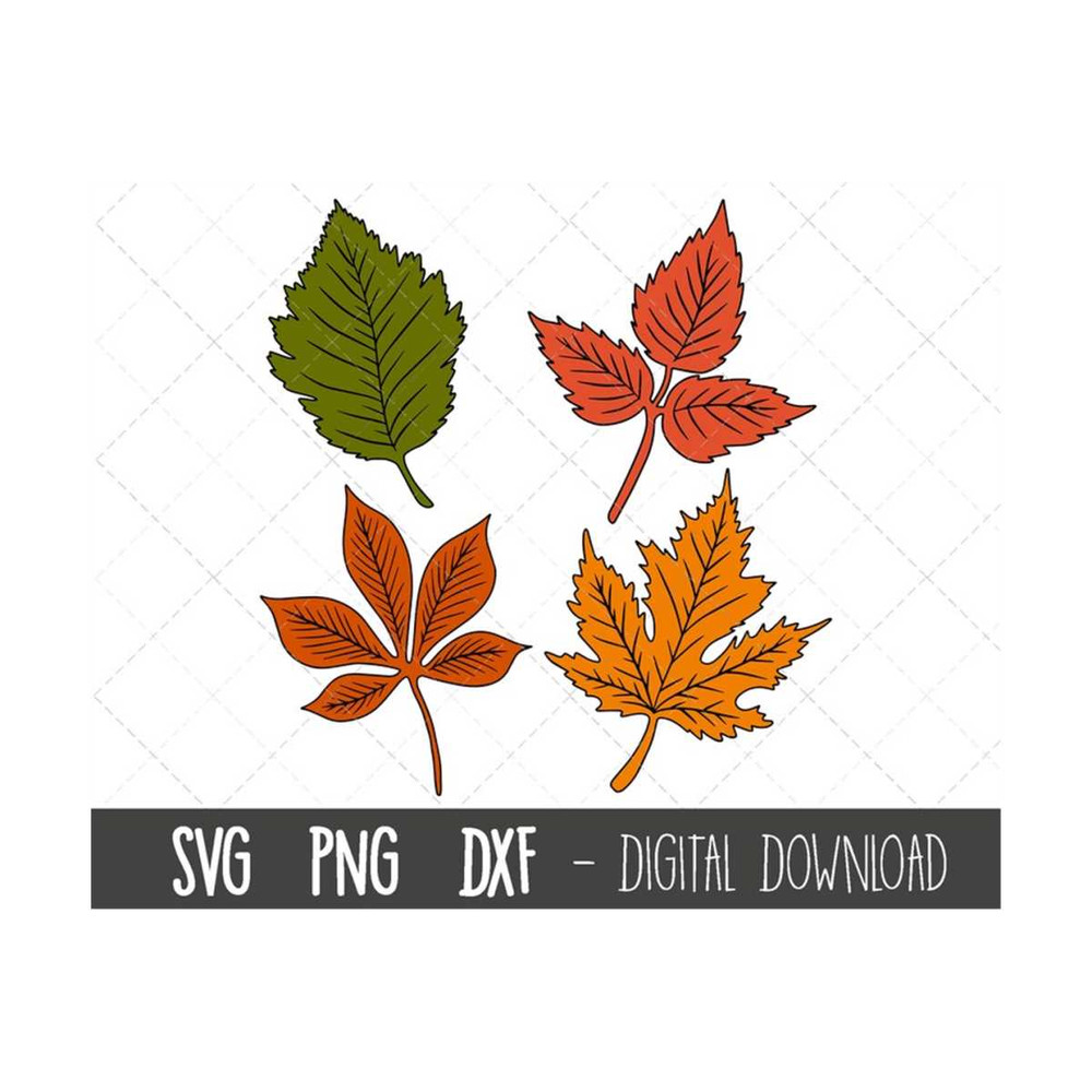 MR-12102023184424-fall-leaves-svg-autumn-leaves-svg-clipart-leaves-clipart-image-1.jpg