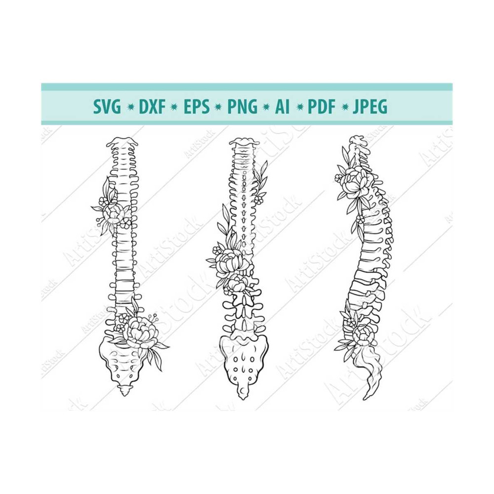 MR-12102023184755-spine-svg-floral-spine-svg-human-spine-svg-spinal-cord-svg-image-1.jpg