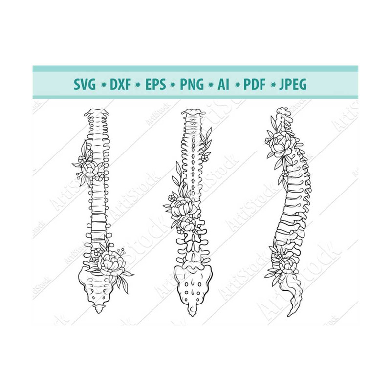 MR-12102023184755-spine-svg-floral-spine-svg-human-spine-svg-spinal-cord-svg-image-1.jpg