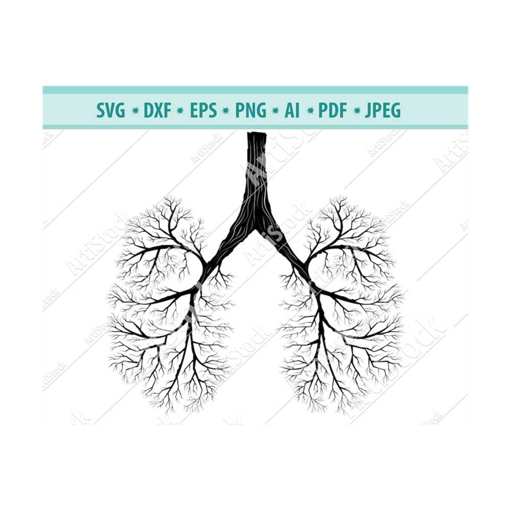 MR-12102023185830-human-lung-svg-lungs-svg-flowery-human-lung-silhouette-image-1.jpg