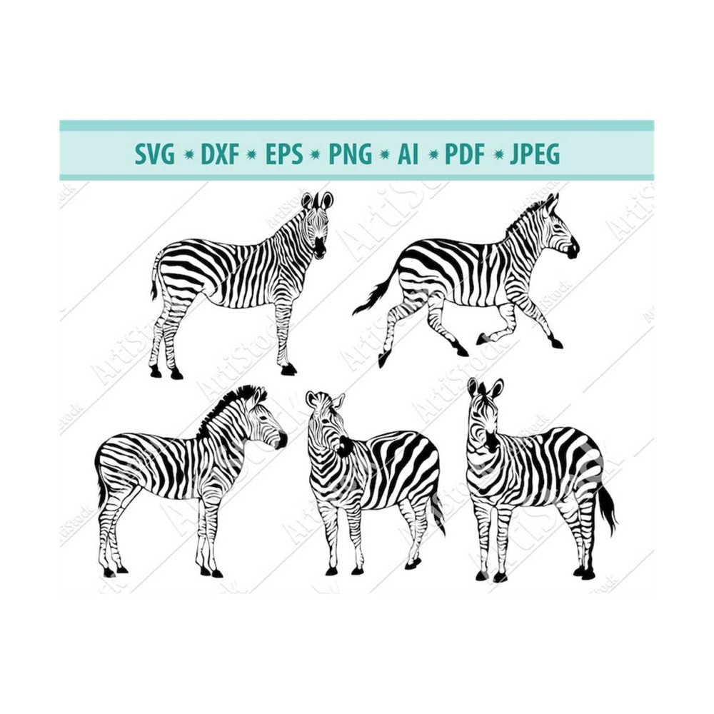 MR-12102023185957-zebra-svg-zebra-clipart-zebra-files-for-cricut-zebra-cut-image-1.jpg
