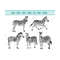 MR-12102023185957-zebra-svg-zebra-clipart-zebra-files-for-cricut-zebra-cut-image-1.jpg