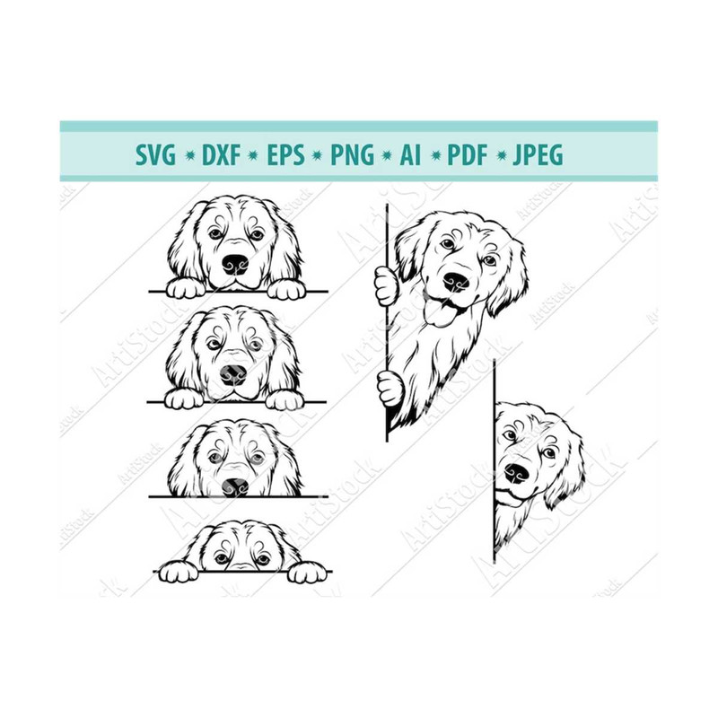MR-1210202319526-peeking-golden-retriever-svg-retriever-svg-peeking-smiling-image-1.jpg