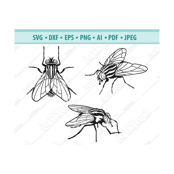 Fly Insect Svg House fly Svg, Insect Svg, Fly Svg, Fly clipart, Flying inse - Inspire ...