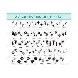animal paw svg, paw prints svg, footprints svg, files for silhouette cameo and cricut. animal tracks svg. paw clipart pn