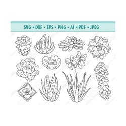 cactus svg bundle, succulents svg, plants clipart, cactus files for silhouette, files for cricut, plants vector svg, dxf