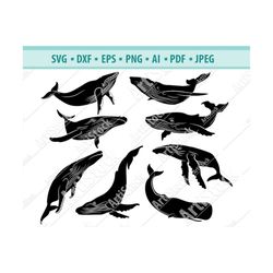 humpback whale  svg, humpback whale svg, whale clipart, humpback whale files for cricut, cut files for silhouette, dxf,