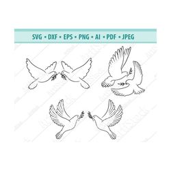 dove svg, pigeon svg, bird svg, dove clipart, couple pigeon svg, dove cut files, silhouette cameo, files for cricut, vec
