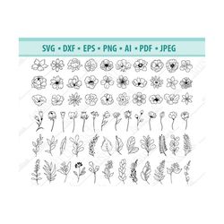 flower svg files, field flowers svg, wildflowers svg, flower branches svg, flower designer svg, leaf svg, laurel plants