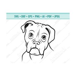 portrait american bulldog svg, head bulldog silhouette svg, dog svg, digital cutting file, vector file, cricut cut, svg,