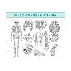 skeleton parts svg, halloween skeleton svg, flower skeleton svg, floral skull svg, skeleton clipart, human bones svg, sv