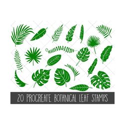 tropical leaves procreate stamps, jungle leaves stamp set, botanical leaf stamps, procreate stamps, procreate brushes, l