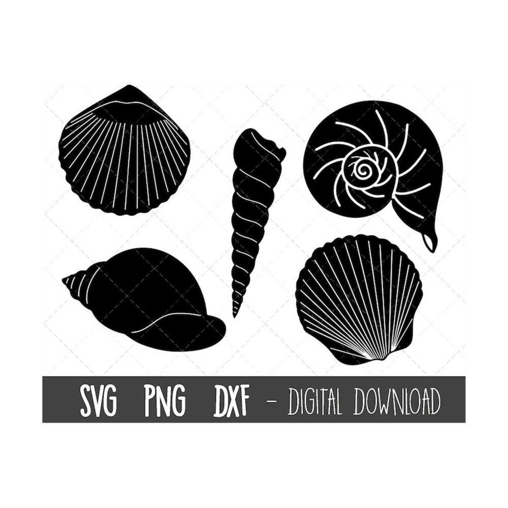 MR-1210202319572-sea-shell-svg-bundle-seashell-svg-shell-svg-seashell-png-image-1.jpg