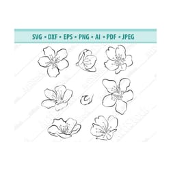 cherry blossom svg, sakura flowers svg, cherry flowers clipart, spring flowers for cricut, blooming tree dxf, svg, eps,
