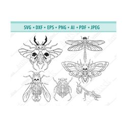 mystic beetle svg, death's head beetle svg, scarab svg, spooky beetle svg, files for cricut, insect svg, magic moth svg,