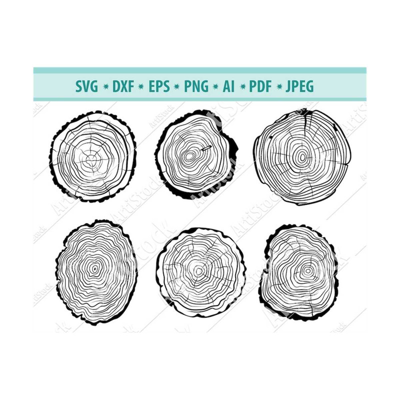 MR-12102023202558-tree-slice-slab-trunk-stump-svg-lumber-svg-lumberjack-image-1.jpg