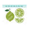 MR-12102023202647-lime-svg-fresh-fruit-svg-citrus-fruit-svg-lime-slice-svg-image-1.jpg