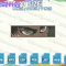EDS_ANIME_AOT52_1thumb (1).png
