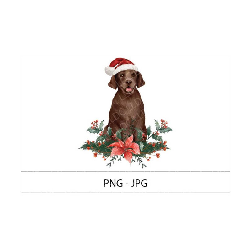 MR-12102023233915-christmas-labrador-pngjpg-christmas-dog-clipart-png-dog-image-1.jpg