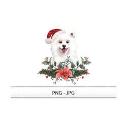 christmas samoyed png/jpg. christmas dog clipart png, dog bandana png, samoyed sublimation, santa paws png, puppy png, s