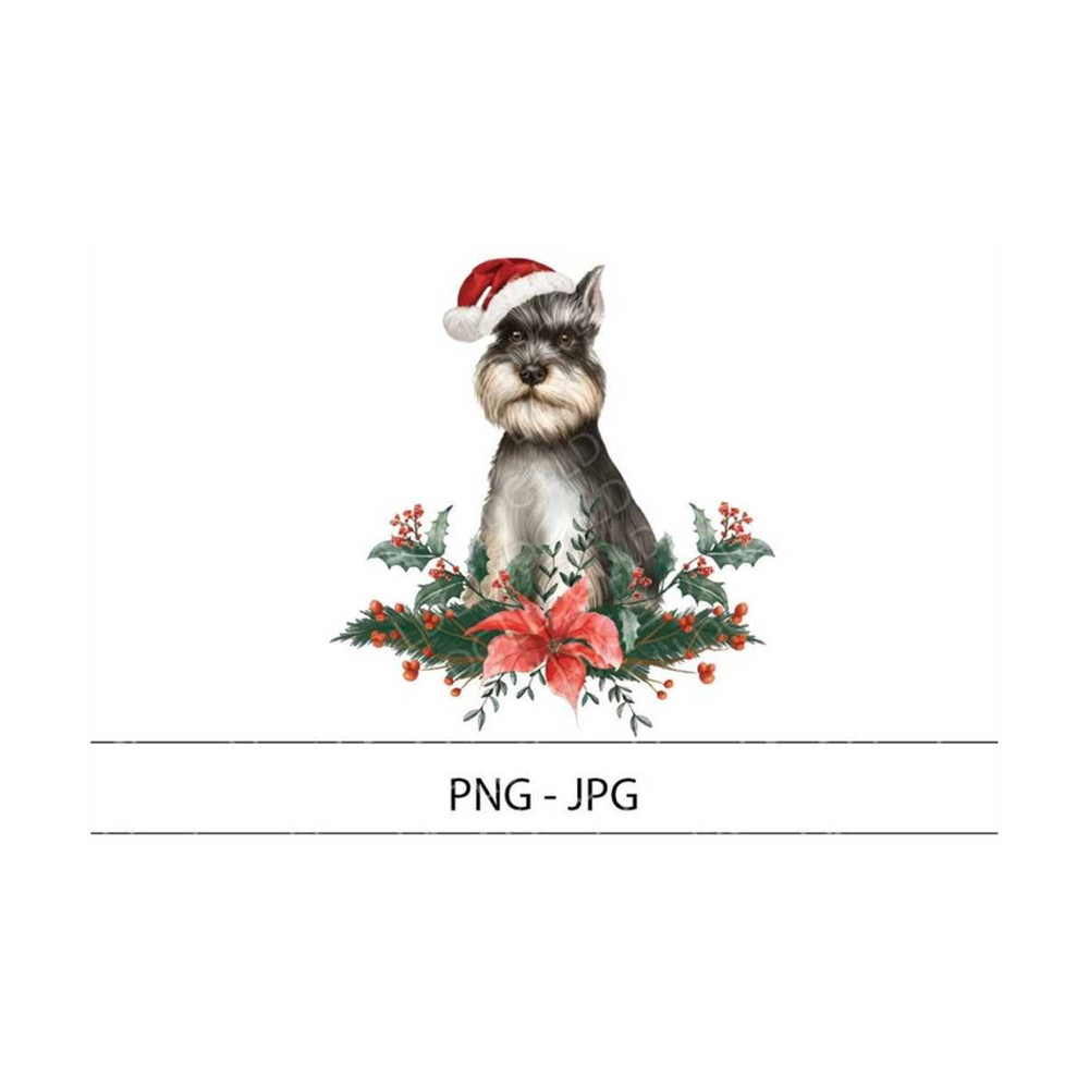 MR-12102023234052-christmas-schnauzer-pngjpg-christmas-dog-clipart-png-dog-image-1.jpg