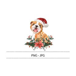christmas english bulldog png/jpg. christmas dog clipart, dog bandana png, bulldog sublimation, santa paws png, puppy pn