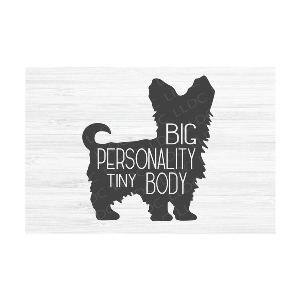 MR-1310202301411-yorkie-svg-big-personality-tiny-body-svg-animal-svg-image-1.jpg