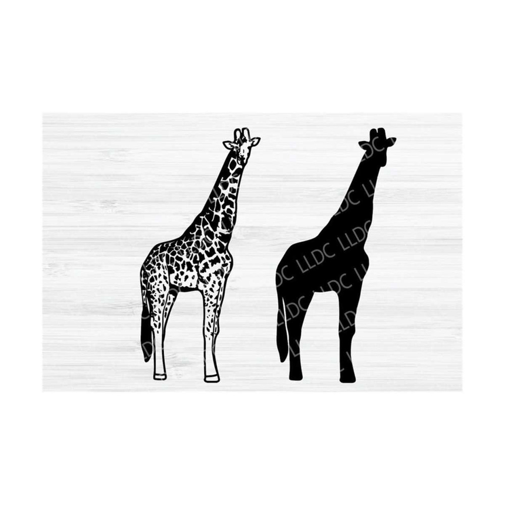 MR-1310202305949-giraffe-svg-file-giraffe-sillhouette-animal-downloadable-image-1.jpg