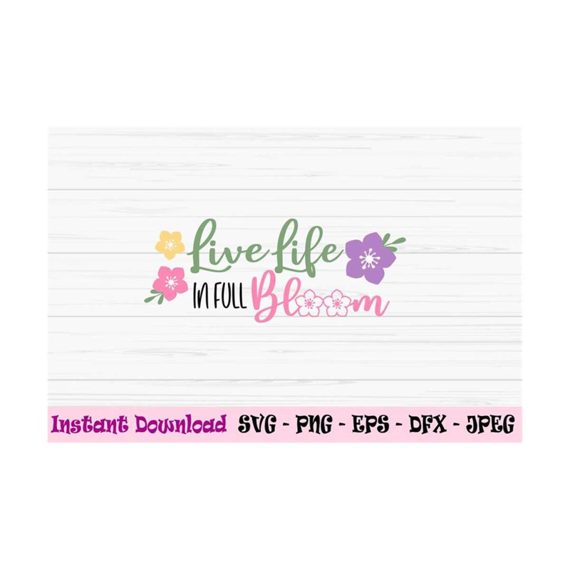 MR-13102023966-live-life-in-full-bloom-svg-spring-svg-spring-sign-svg-image-1.jpg