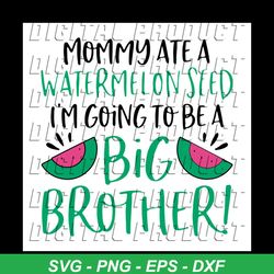 mommy ate a watermelon seed, i'm going to be a big brother, family, watermelon, watermelon day,svg png, dxf, eps