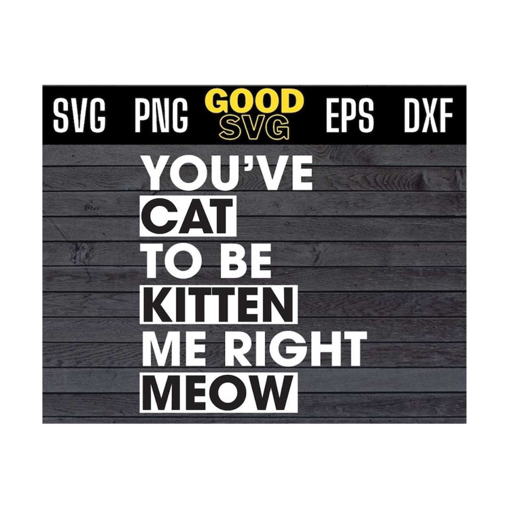 MR-1310202393839-youve-cat-to-be-kitten-me-right-meow-svg-files-for-cricut-image-1.jpg