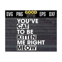 youve cat to be kitten me right meow svg files for cricut, png, dxf , eps
