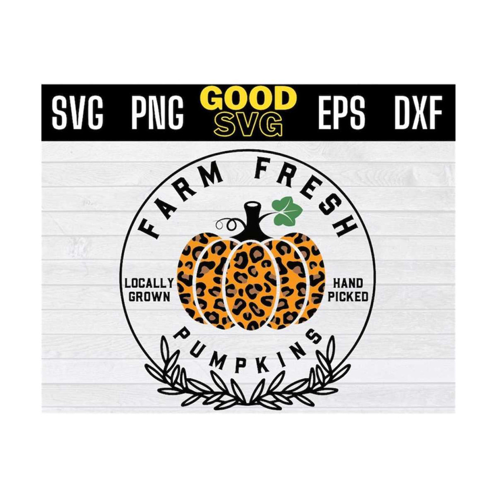 MR-131020231066-farm-fresh-pumpkins-svg-farm-fresh-pumpkins-png-fall-svg-png-image-1.jpg