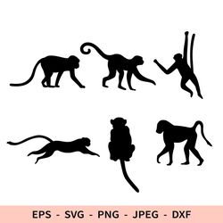 Monkey Svg Dxf File for Cricut Animal Silhouette Realistic Monkey Png Cut File Set
