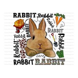 easter rabbit sublimation png, animal digital downloads, farm png, instant download,sublimation designs, happy easter, g
